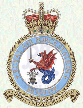RAF Brawdy badge