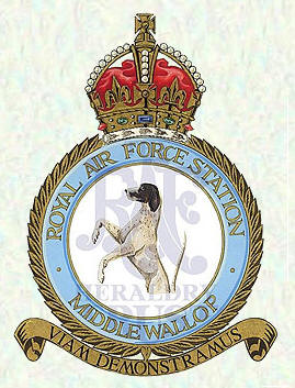 RAF Middle Wallop badge