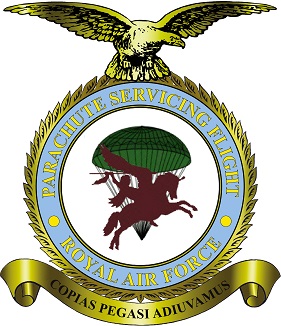 Parachute Servicing Flight badge