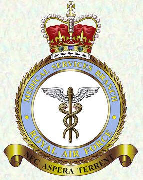 Medical Service Branch badge