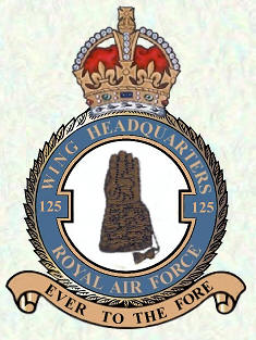 No 125 Wing badge