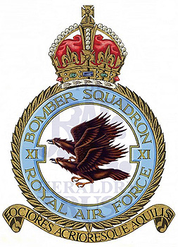 No XI Squadron badge