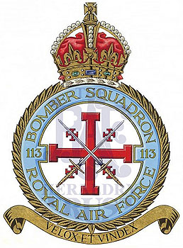 No 113 Squadron badge