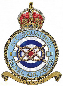 No II Squadron badge