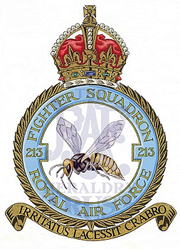 No 213 Squadron badge