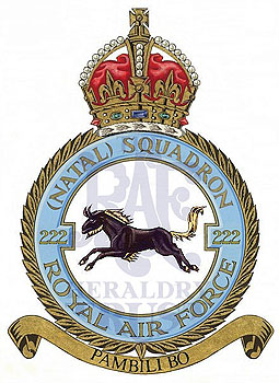No 222 (Natal) Squadron badge