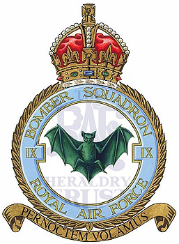 No IX Squadron badge