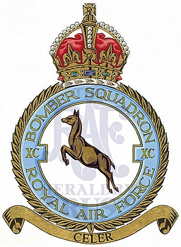No 90 Squadron badge
