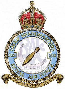 No 205 Group badge