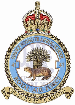 No 41 Service Flying Training School badge
