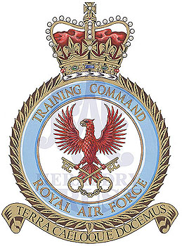 Training Command Badge