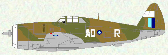 Thunderbolt I of No 113 Squadron