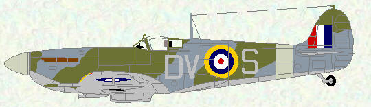 Spitfire VB of No 129 Squadron