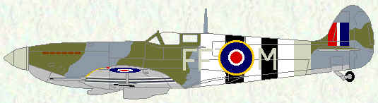 Spitfire IX of No 132 Squadron (July 1944)