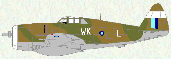 Thunderbolt I of No 135 Squadron
