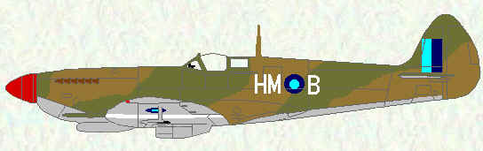 Spitfire VIII of No 136 Squadron