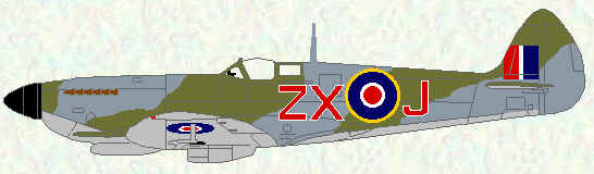 Spitfire VIII of No 145 Squadron