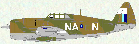 Thunderbolt I of No 146 Squadron