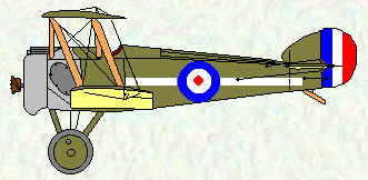 Camel of No 151 Squadron