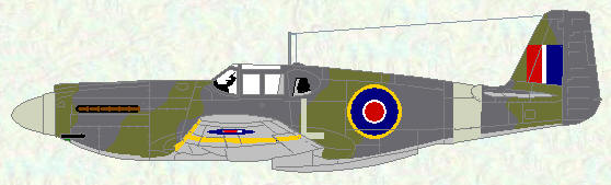 Mustang I of No 169 Squadron