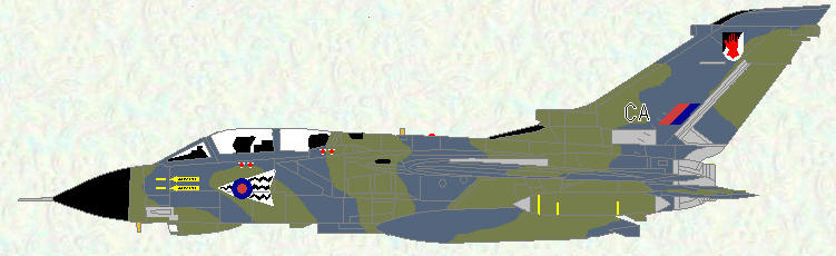 Tornado GR Mk 1 of No 17 Squadron