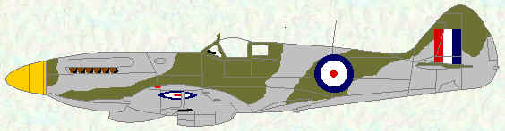 Spitfire XIV of No 17 Squadron (Japan - 1947)