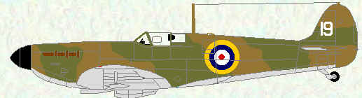 Spitfire I of No 19 Squadron (early production example)