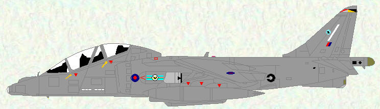 Harrier T Mk 12 of No 20 (Reserve) Squadron