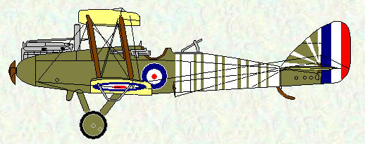 DH 9 of No 211 Squadron as flown by Capt J A Gray in June 1918 when he and his observer were interned in Holland