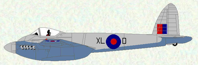 Hornet F Mk 1 of No 226 Operational Conversion Unit