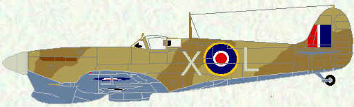 Spitfire VC of No 229 Squadron