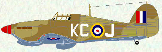 Hurricane IIb of No 238 Squadron (Western Desert - 1942)