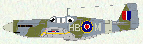 Mustang I of No 239 Squadron (standard day fighter scheme)