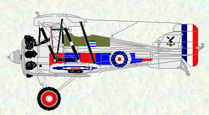 Gamecock of No 23 Squadron