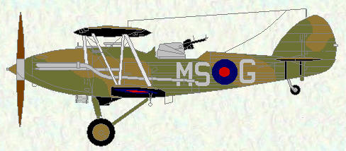 Demon of No 23 Squadron (camouflage scheme)