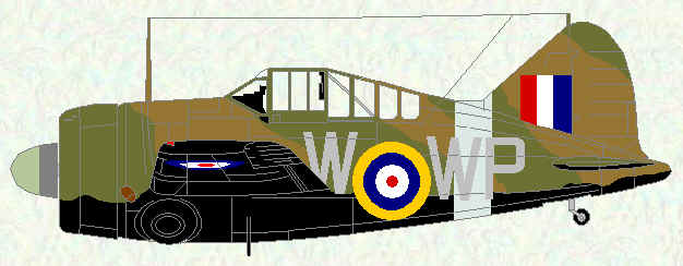Buffalo I of No 243 Squadron