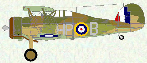 Gladiator II of No 247 Squadron