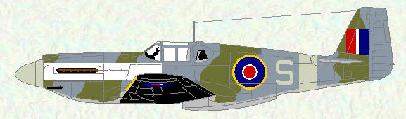 Mustang I of No 2 Squadron (standard  fighter scheme) in special markings for Exercise 'Spartan'