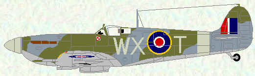 Spitfire VB of No 302 Squadron