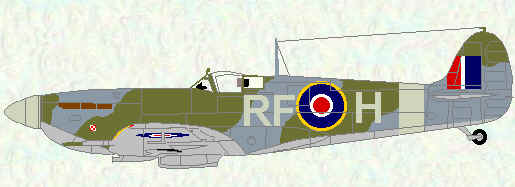 Spitfire VB of No 303 Squadron