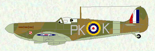 Spitfire IIA of No 315 Squadron