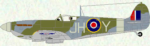 Spitfire VB of No 317 Squadron