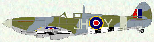 Spitfire IX of No 317 Squadron