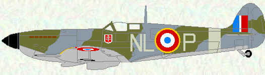 Sppitfire IX opf No 341 Squadron (Free French markings)