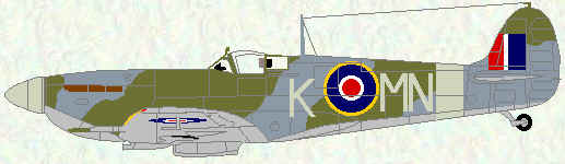 Spitfire VB of No 350 Squadron