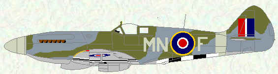 Spitfire XIV of no 350 Squadron