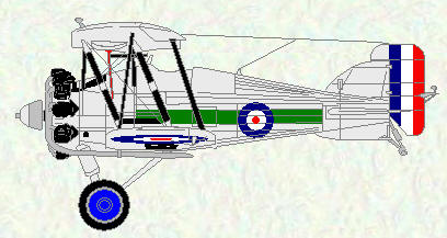 Gloster Gamecock of No 3 Squadron
