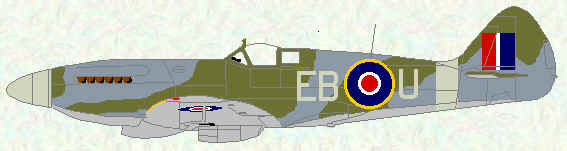 Spitfire XIV of No 41 Squadron (1945)