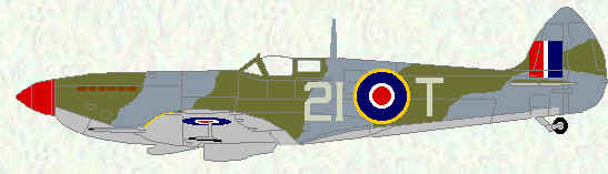 Spitfire XVI of No 443 Squadron
