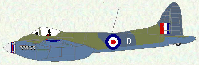 Hornet F Mk 3 of No 45 Squadron (camouflage schem, no codes)